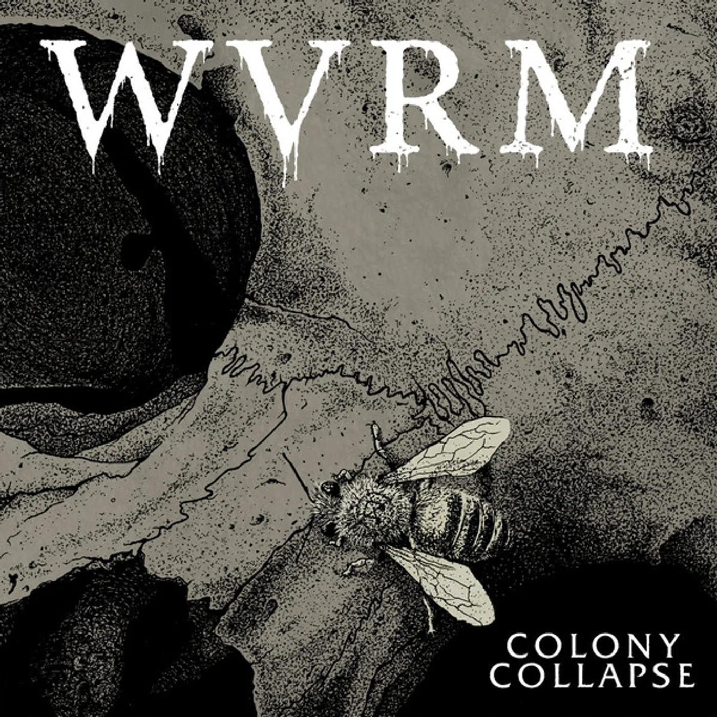 WVRM Colony Collapse Vinyl Record