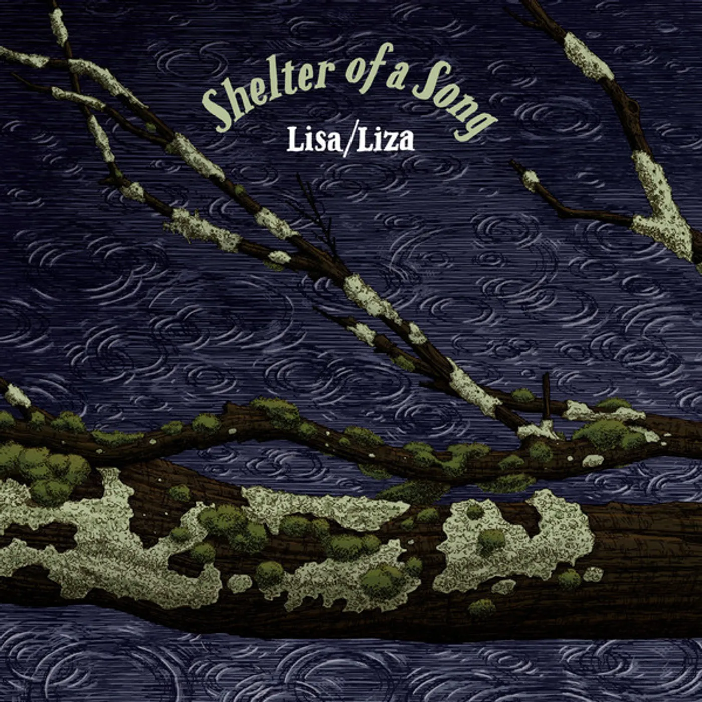 Lisa/Liza Shelter of a Song Vinyl Record