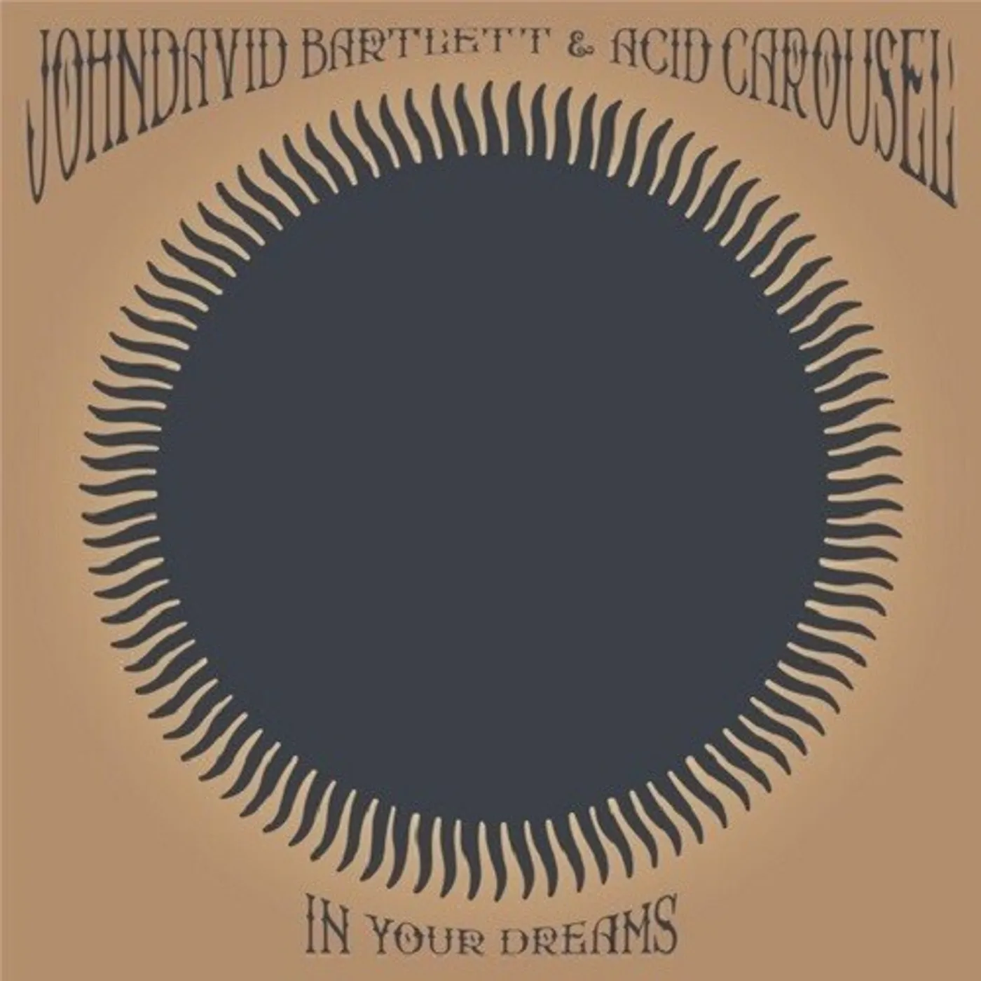 Johndavid Bartelett IN YOUR DREAMS Vinyl Record