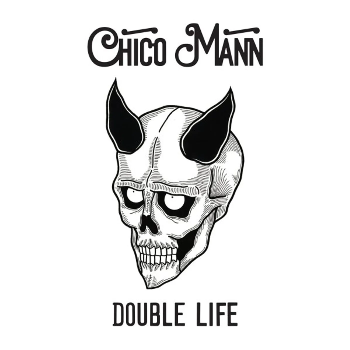 Chico Mann DOUBLE LIFE Vinyl Record