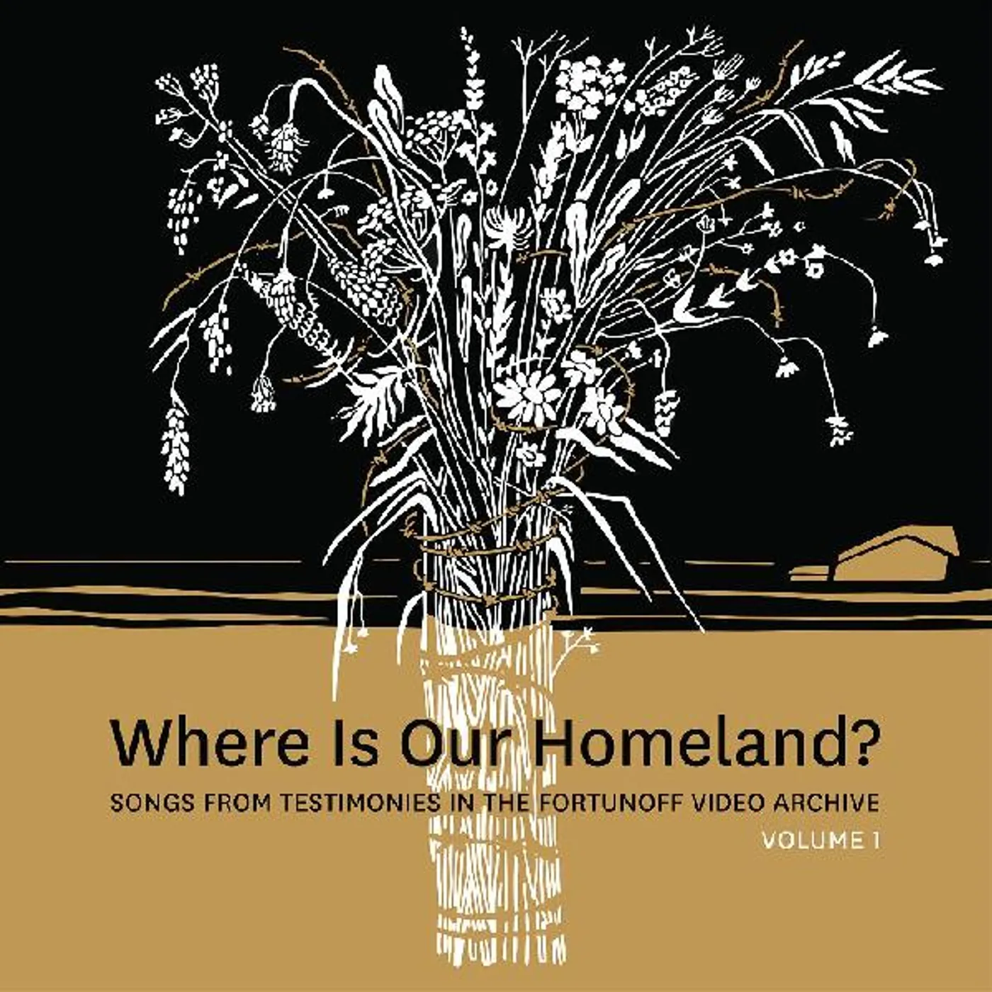 Zisl Slepovitch / Sasha Lurje WHERE IS OUR HOMELAND? SONGS FROM TESTIMONIES Vinyl Record