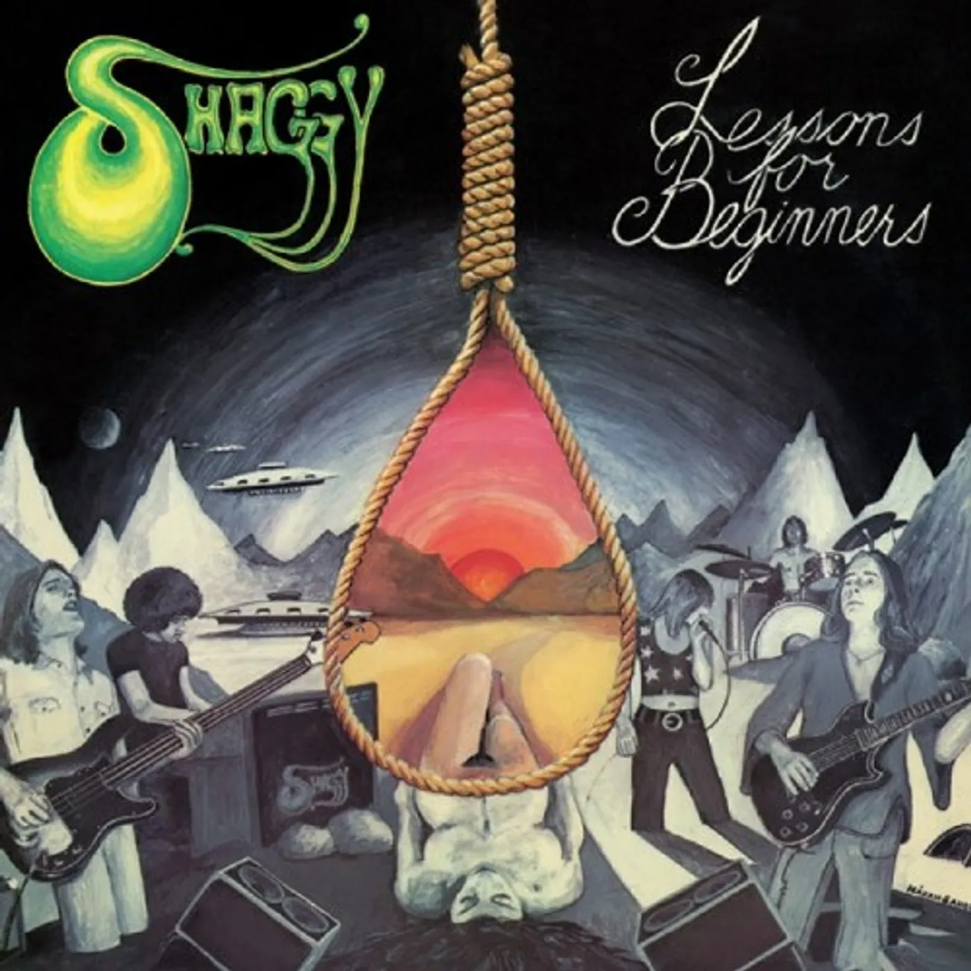 Shaggy LESSONS FOR BEGINNERS Vinyl Record