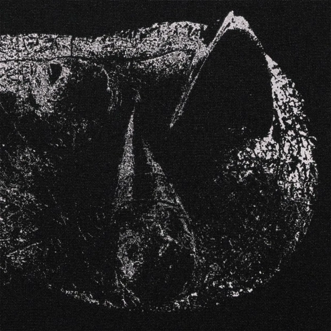 Demon Head VISCERA CD