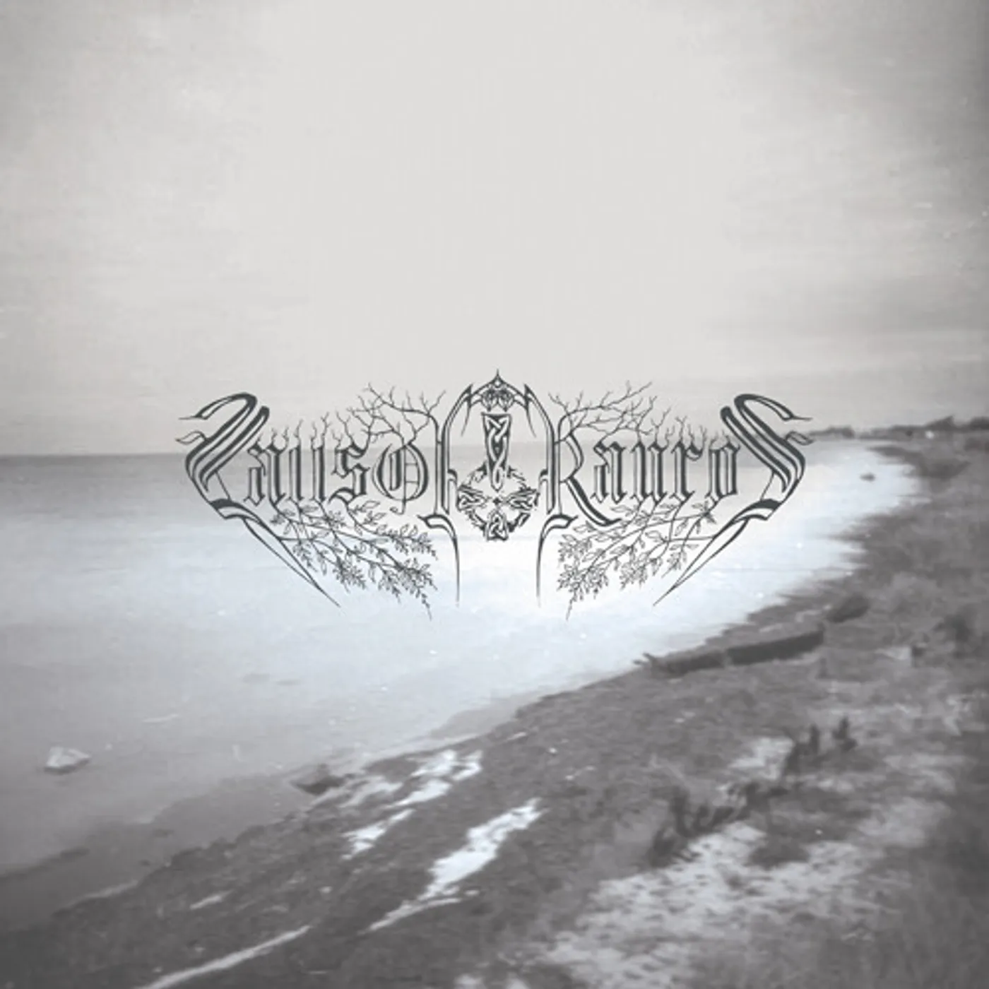 Falls of Rauros BELIEVE IN NO COMING SHORE CD