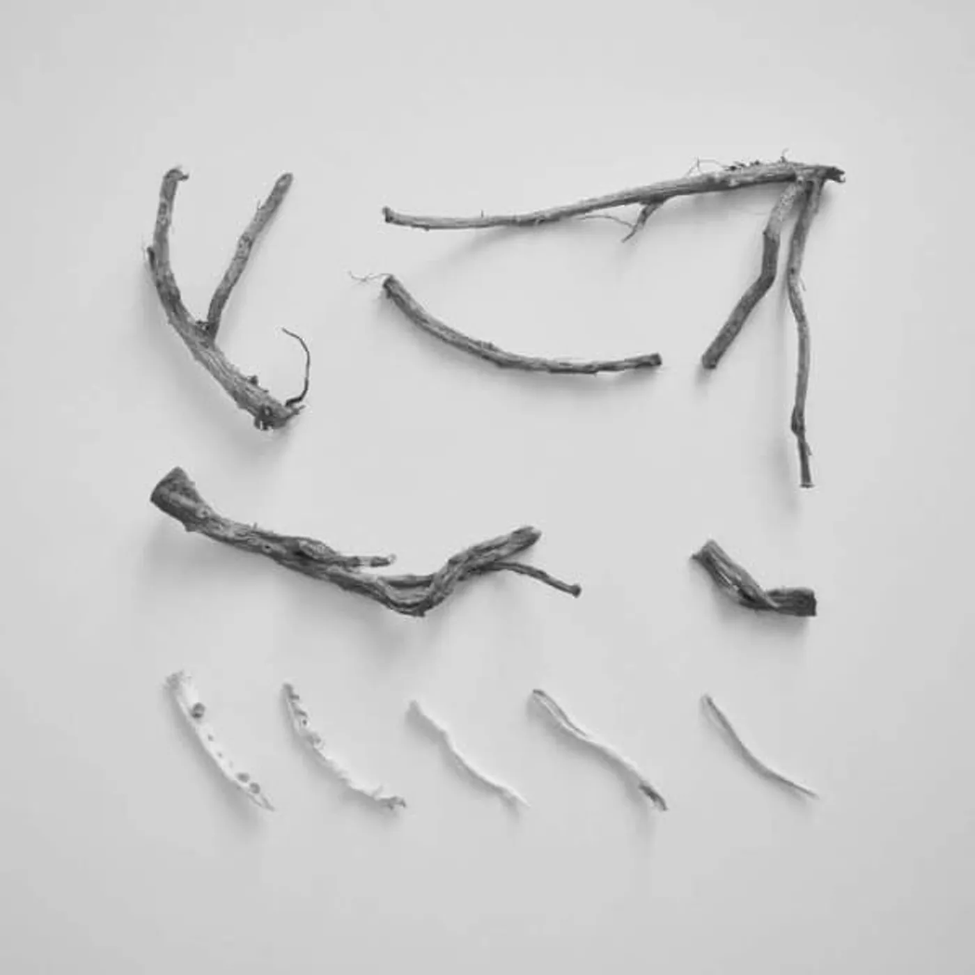 Richard Skelton These Charms May Be Sung Over A Wound Vinyl Record