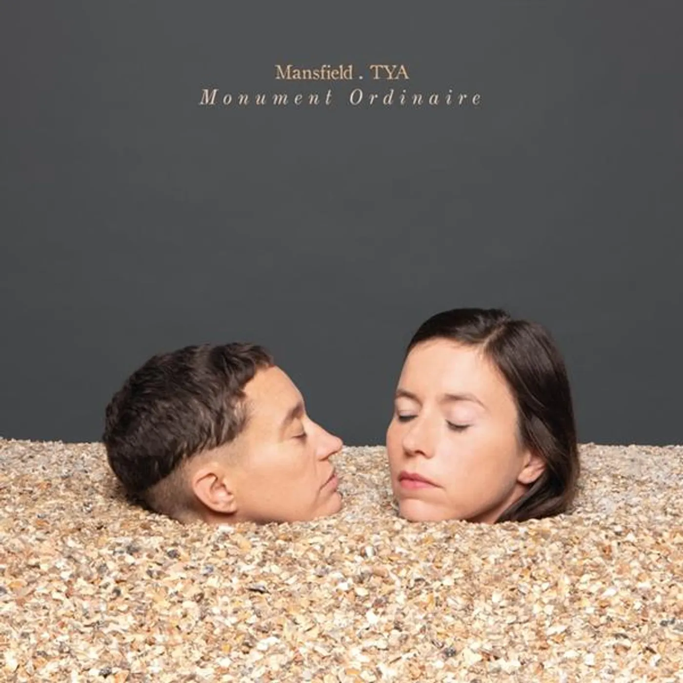 Mansfield.TYA Monument ordinaire Vinyl Record