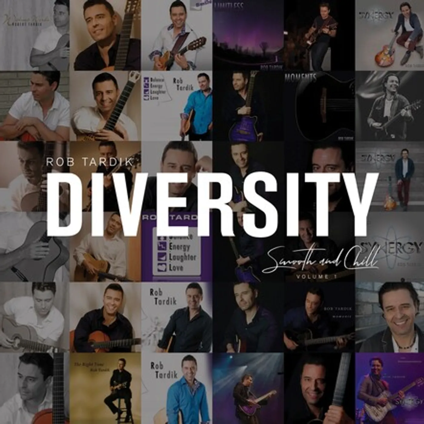 Rob Tardik DIVERSITY (VOL. 1 - SMOOOTH & CHILL) CD