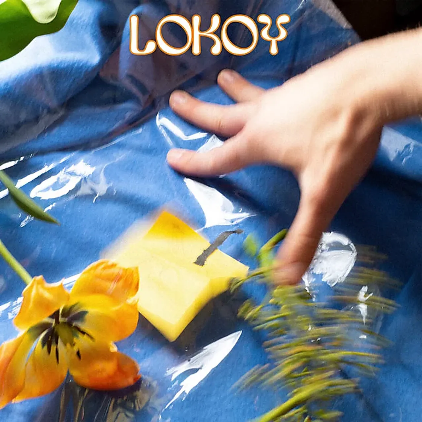 Lokoy badminton Vinyl Record