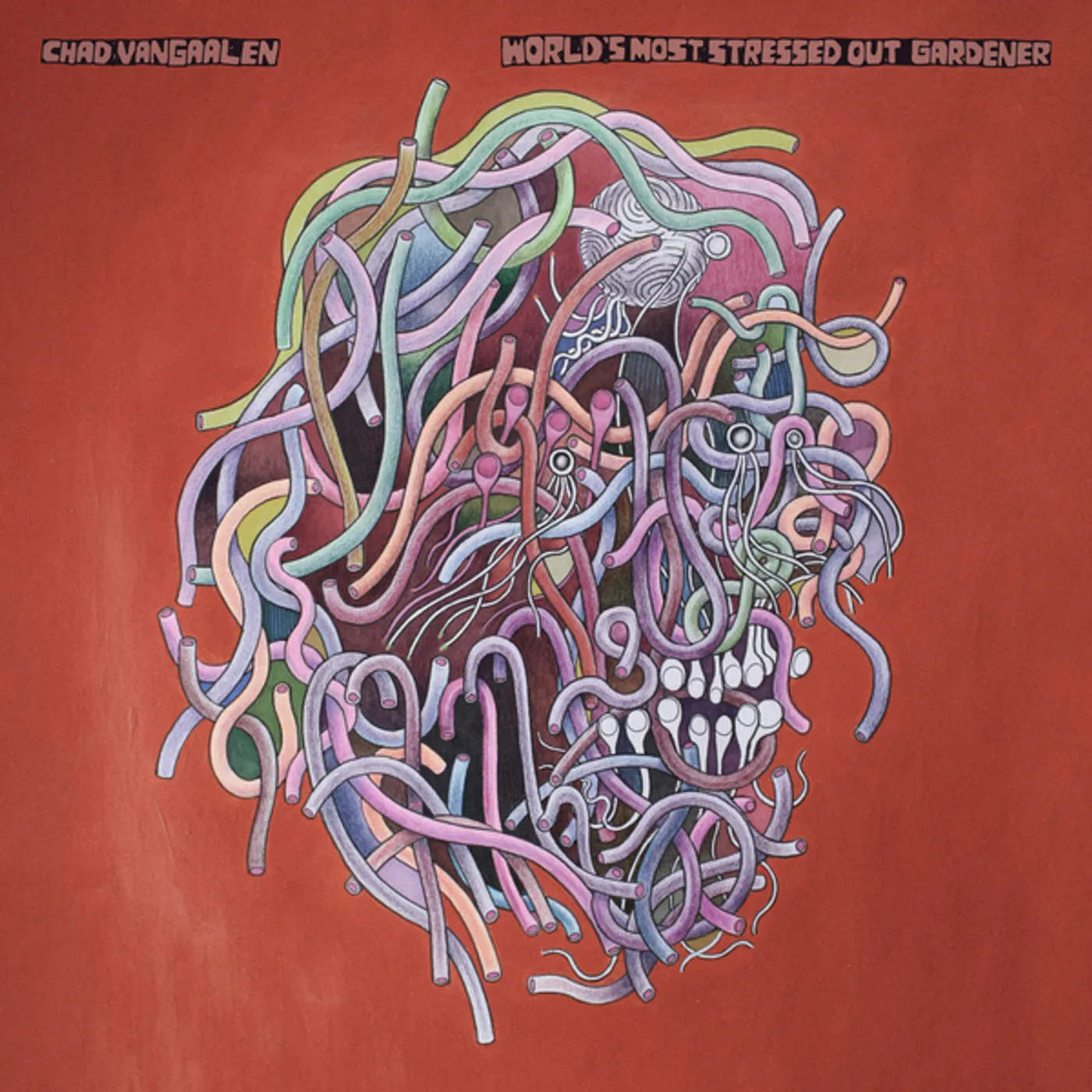 Chad VanGaalen World's Most Stressed Out Gardener Vinyl Record