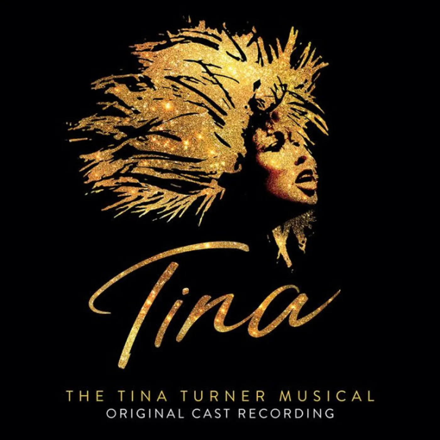 TINA: THE TINA TURNER MUSICAL / O.C.R. Vinyl Record