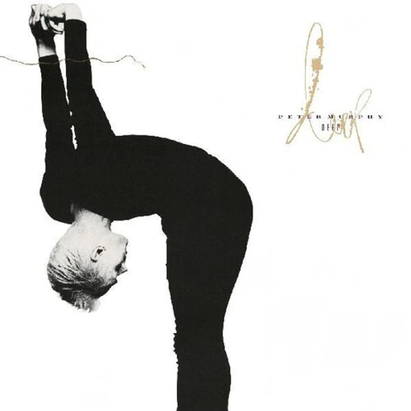 Peter Murphy Deep Vinyl Record