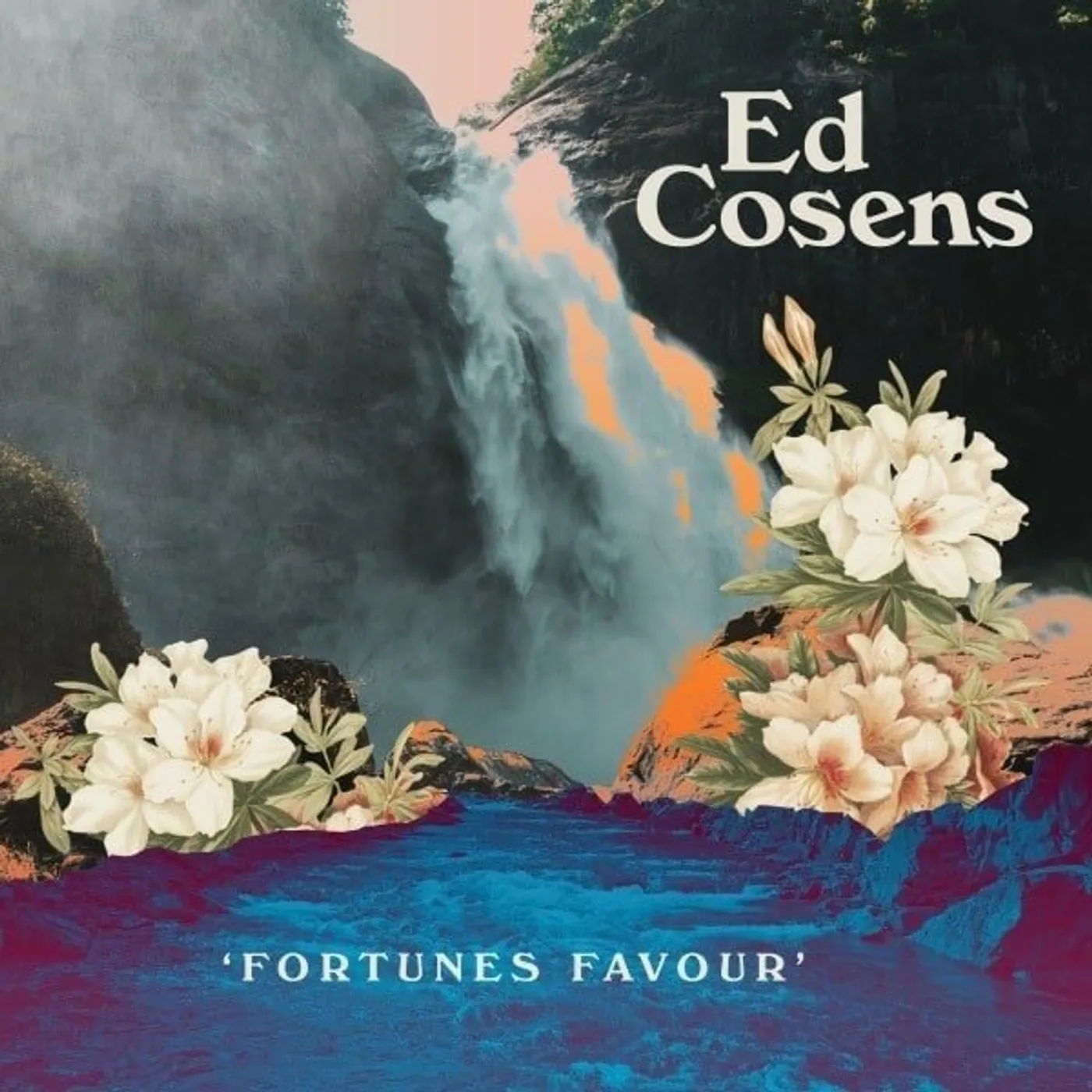 Ed Cosens Fortunes Favour Vinyl Record