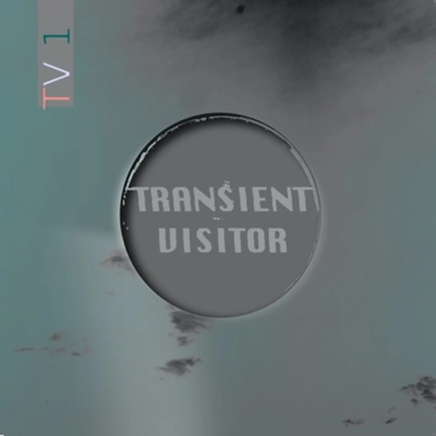 Transient Visitor TV1 Vinyl Record