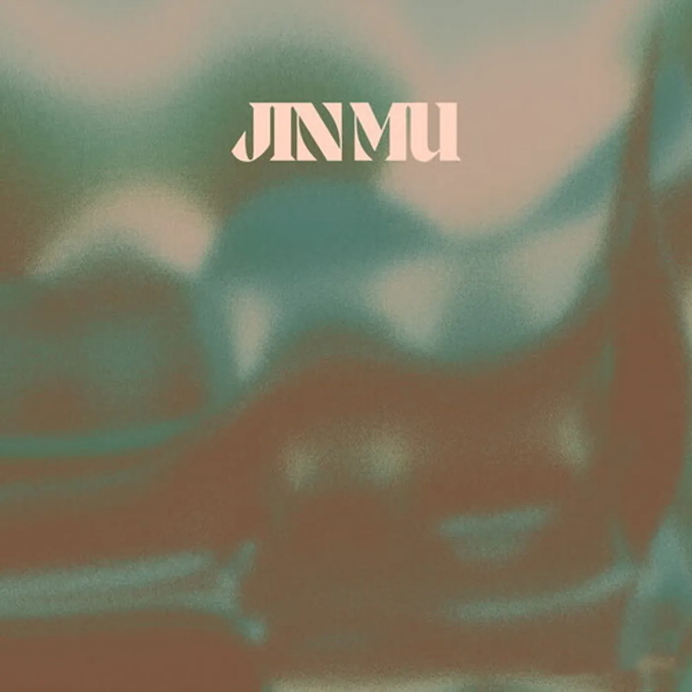 Zeitgeist & Tucceri JIN MU Vinyl Record