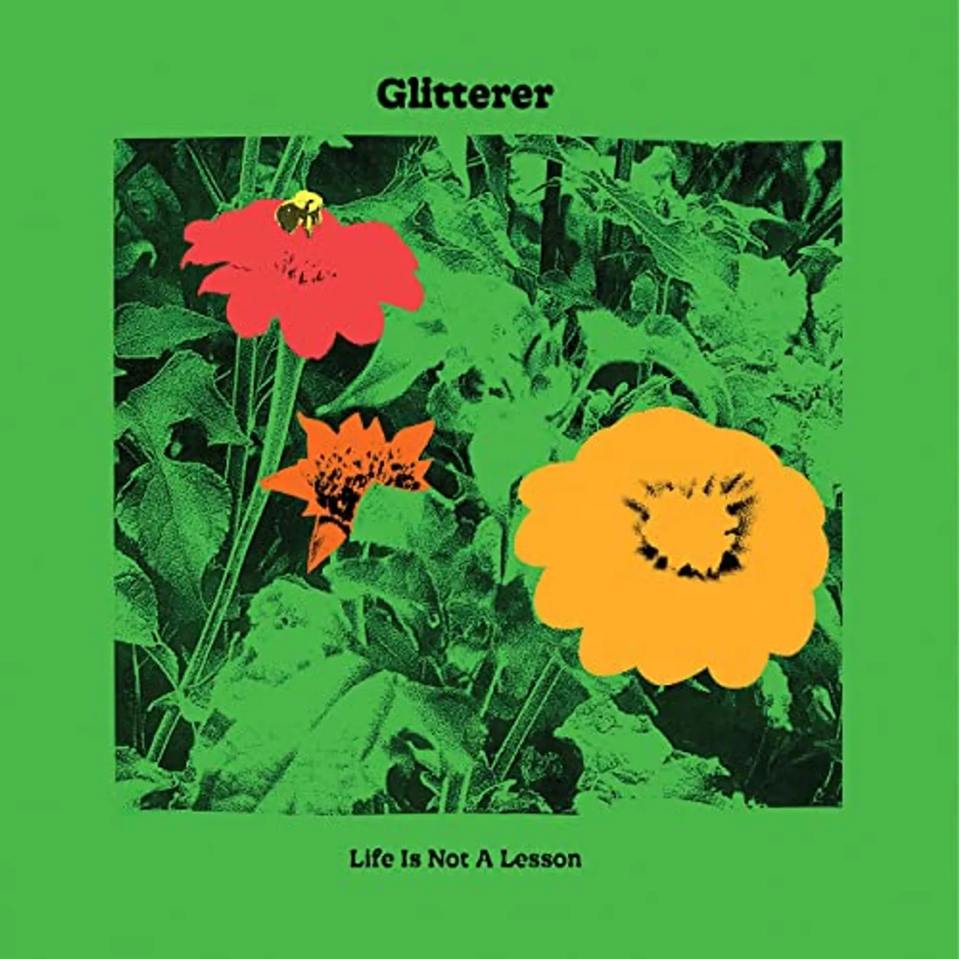 Glitterer LIFE IS NOT A LESSON CD
