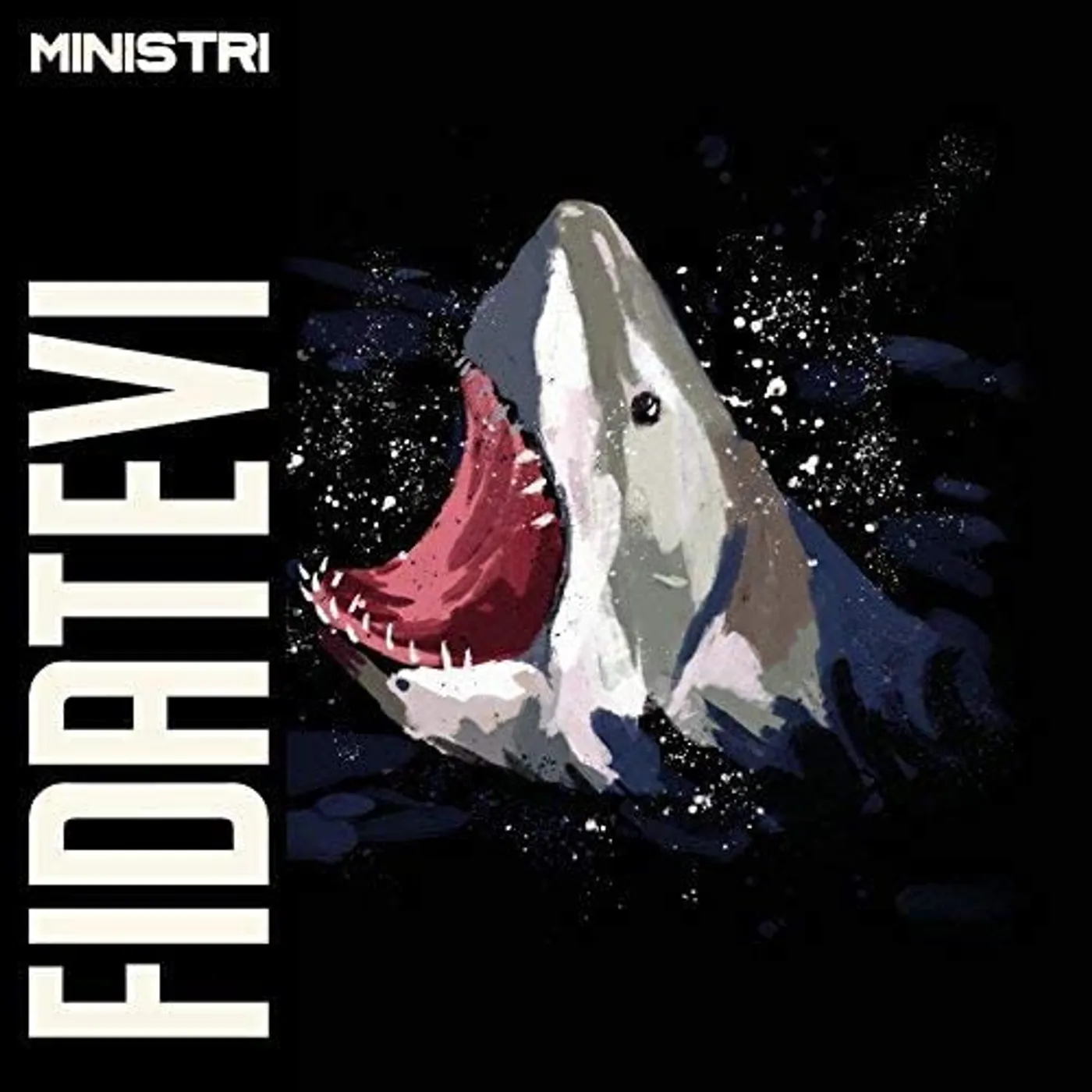 Ministri Fidatevi Vinyl Record
