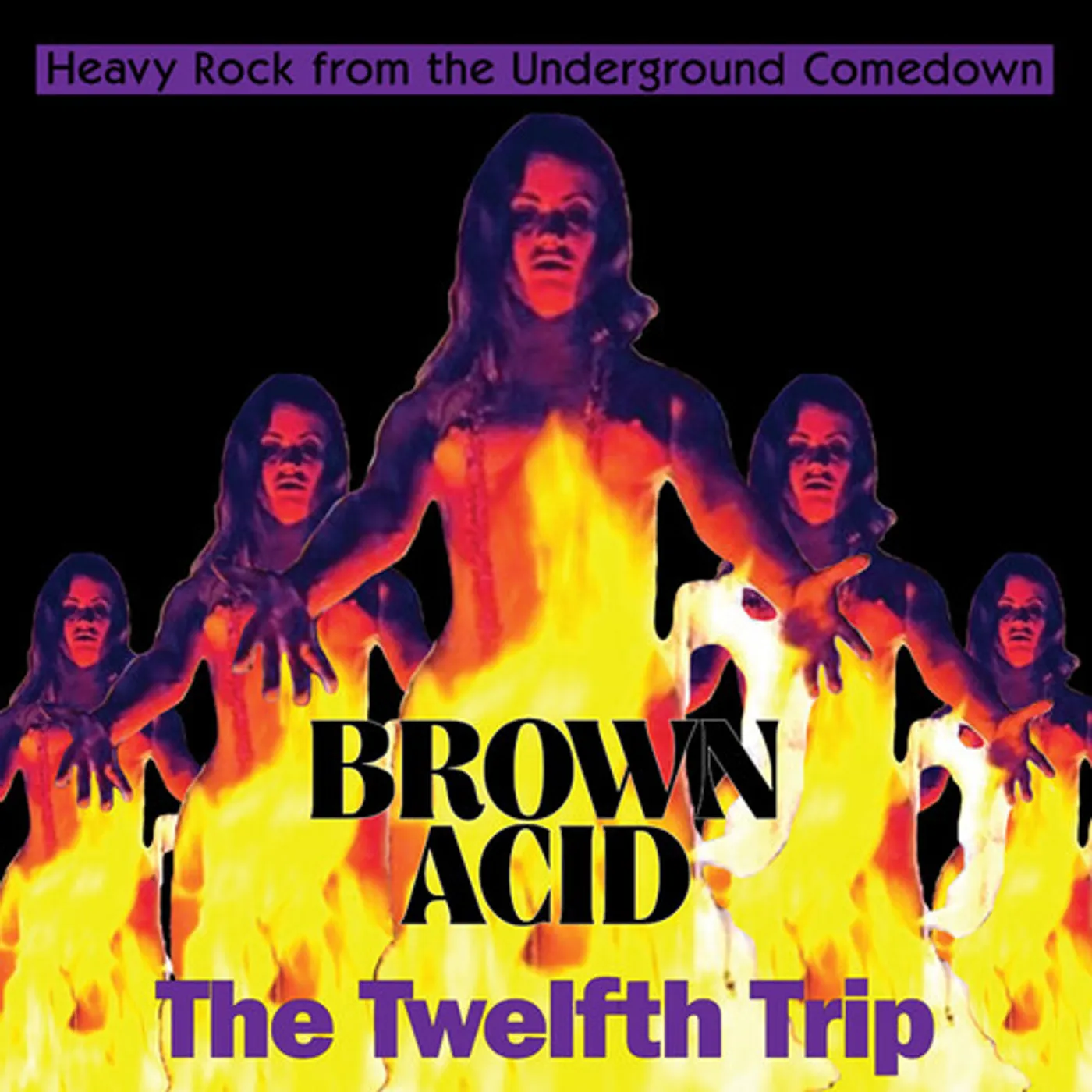 Various Artists  BROWN ACID: THE TWELFTH TRIP CD