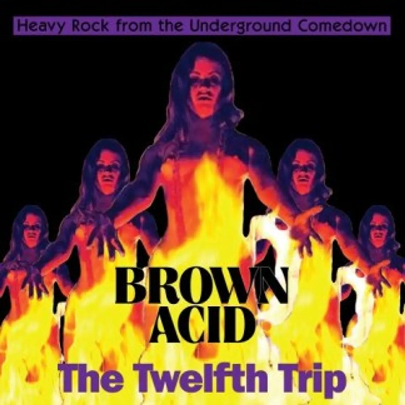 Various Artists  BROWN ACID: THE TWELFTH TRIP Vinyl Record