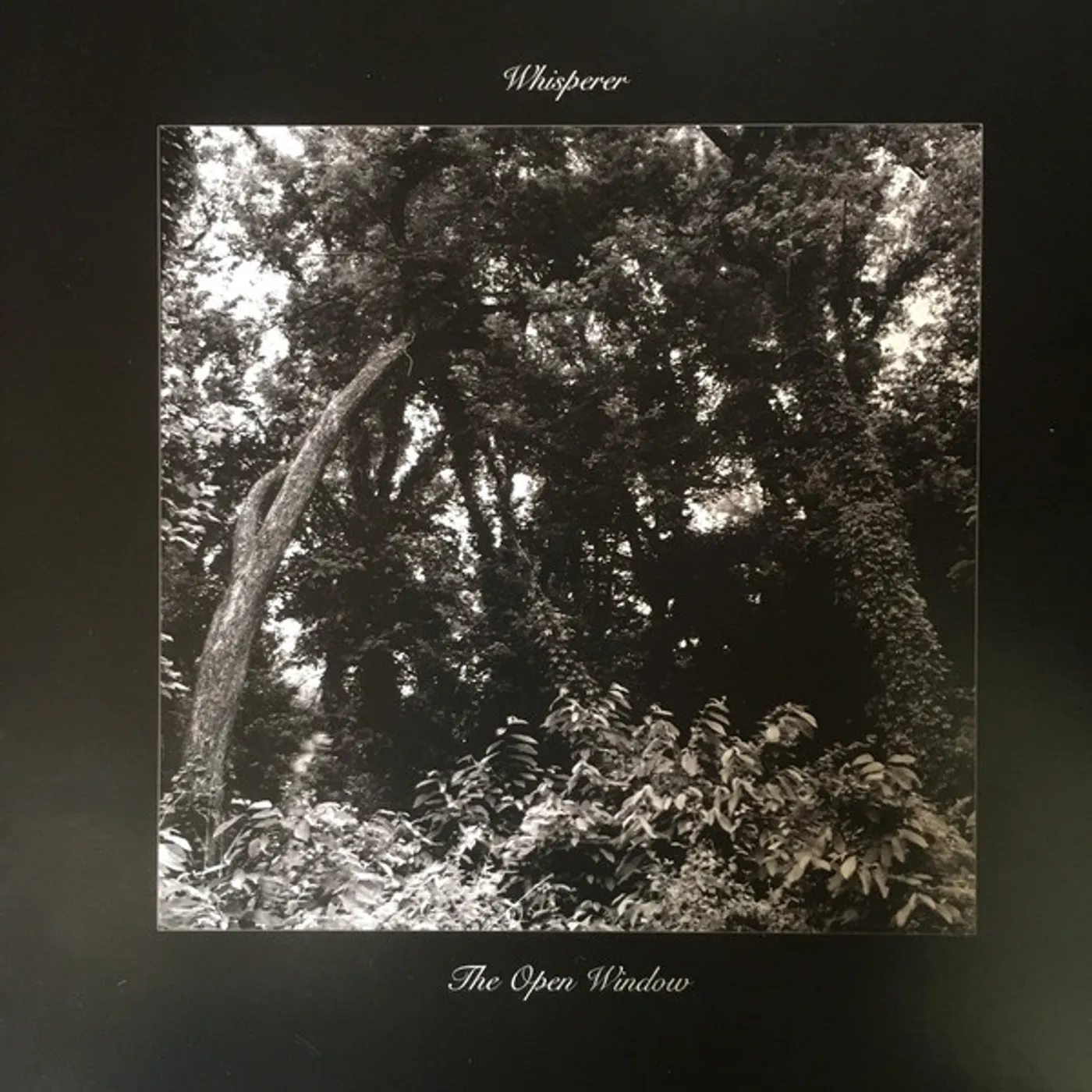 wHispeRer OPEN WINDOW Vinyl Record