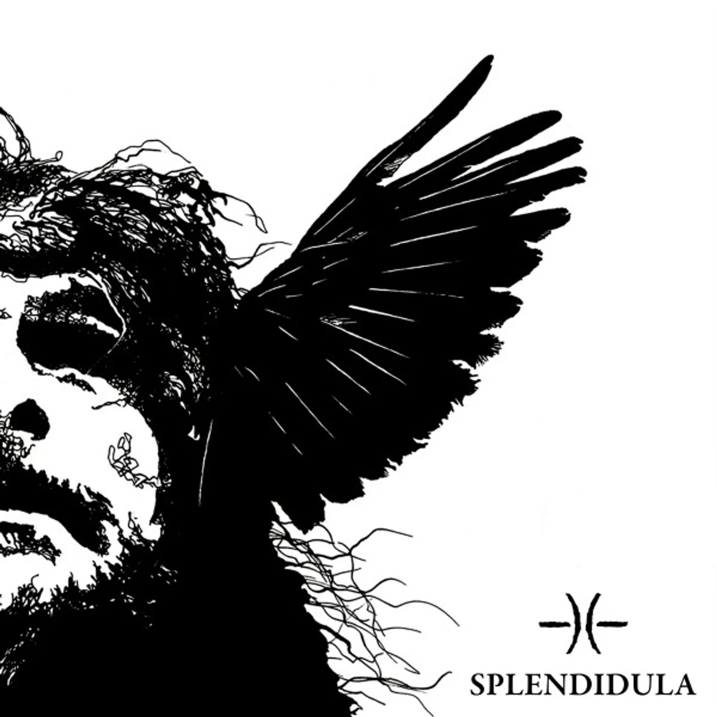 Splendidula Somnus Vinyl Record