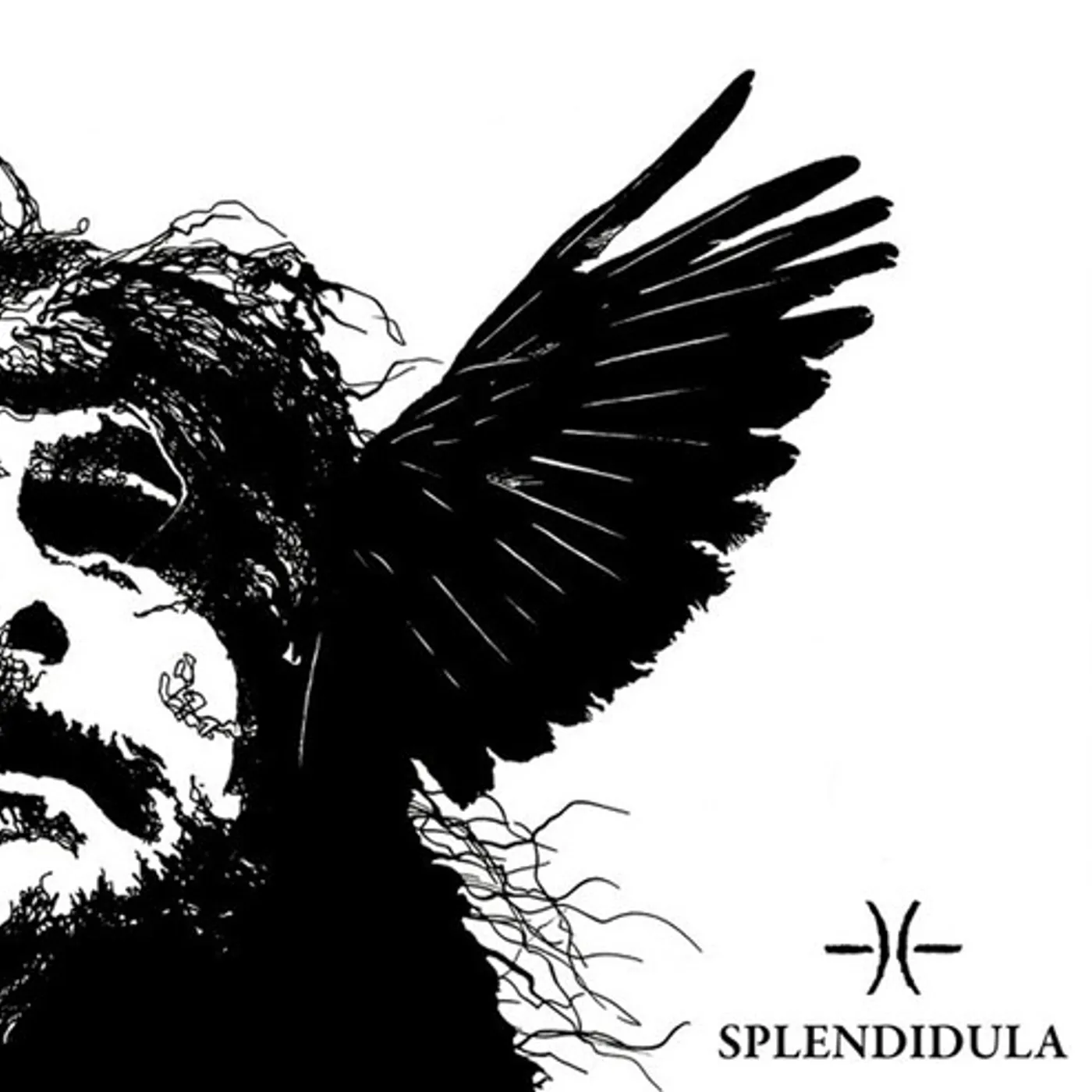 Splendidula Somnus Vinyl Record