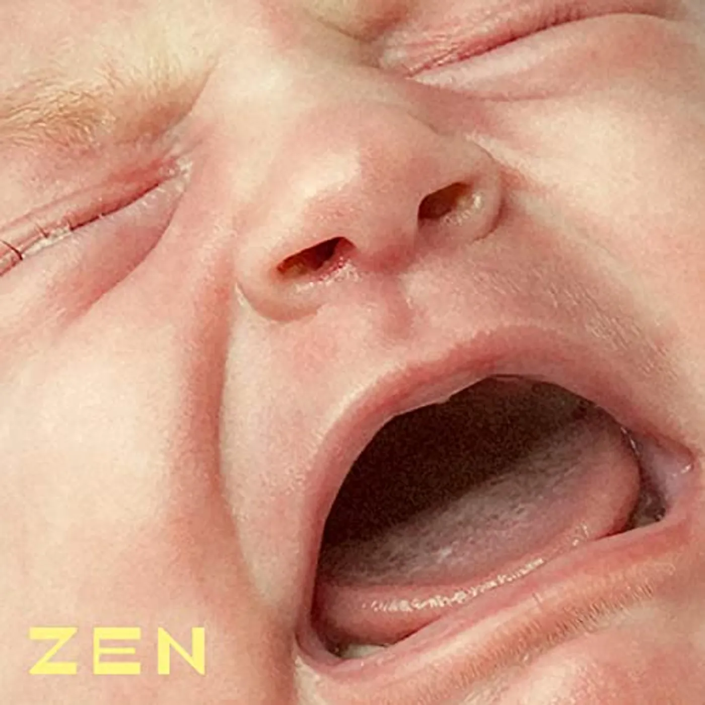 Gasellit Zen Vinyl Record