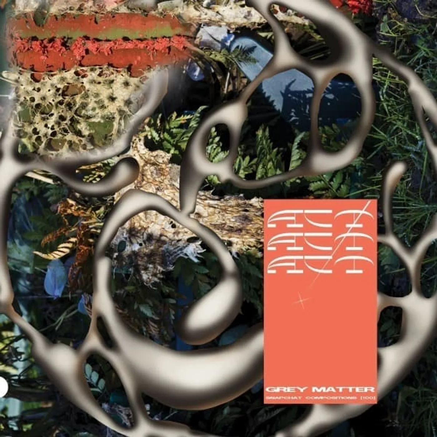 Act GREY MATTER AR SNAPCHAT COMPOSITIONS Vinyl Record