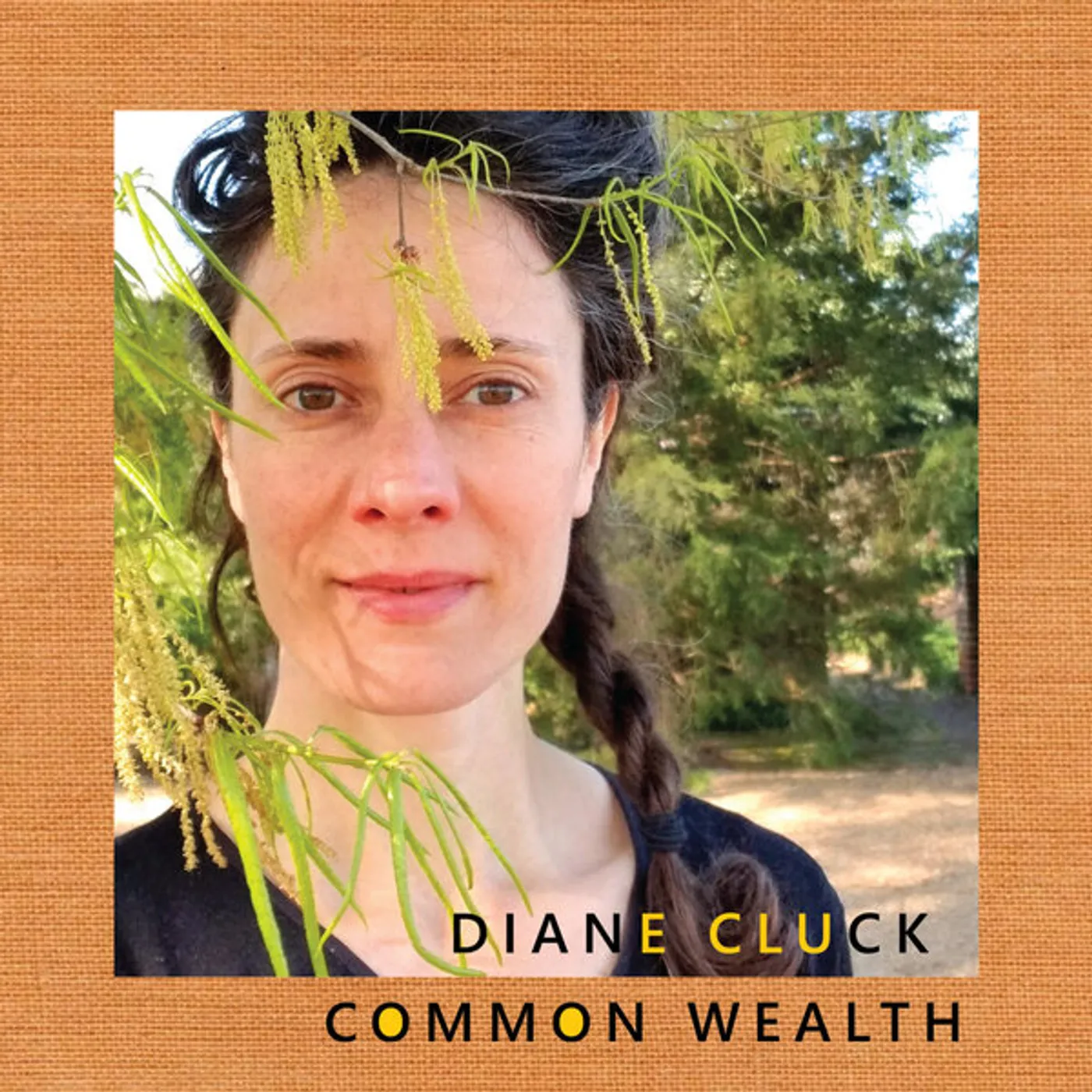 Diane Cluck Common Wealth Vinyl Record