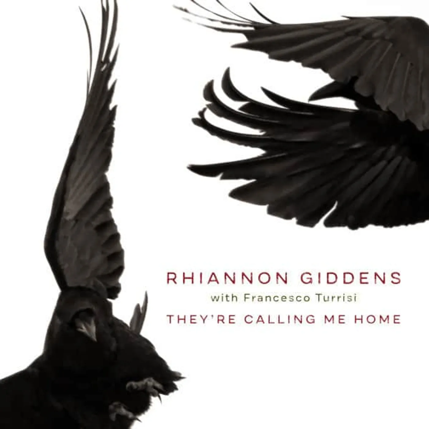 Rhiannon Giddens They're Calling Me Home Vinyl Record