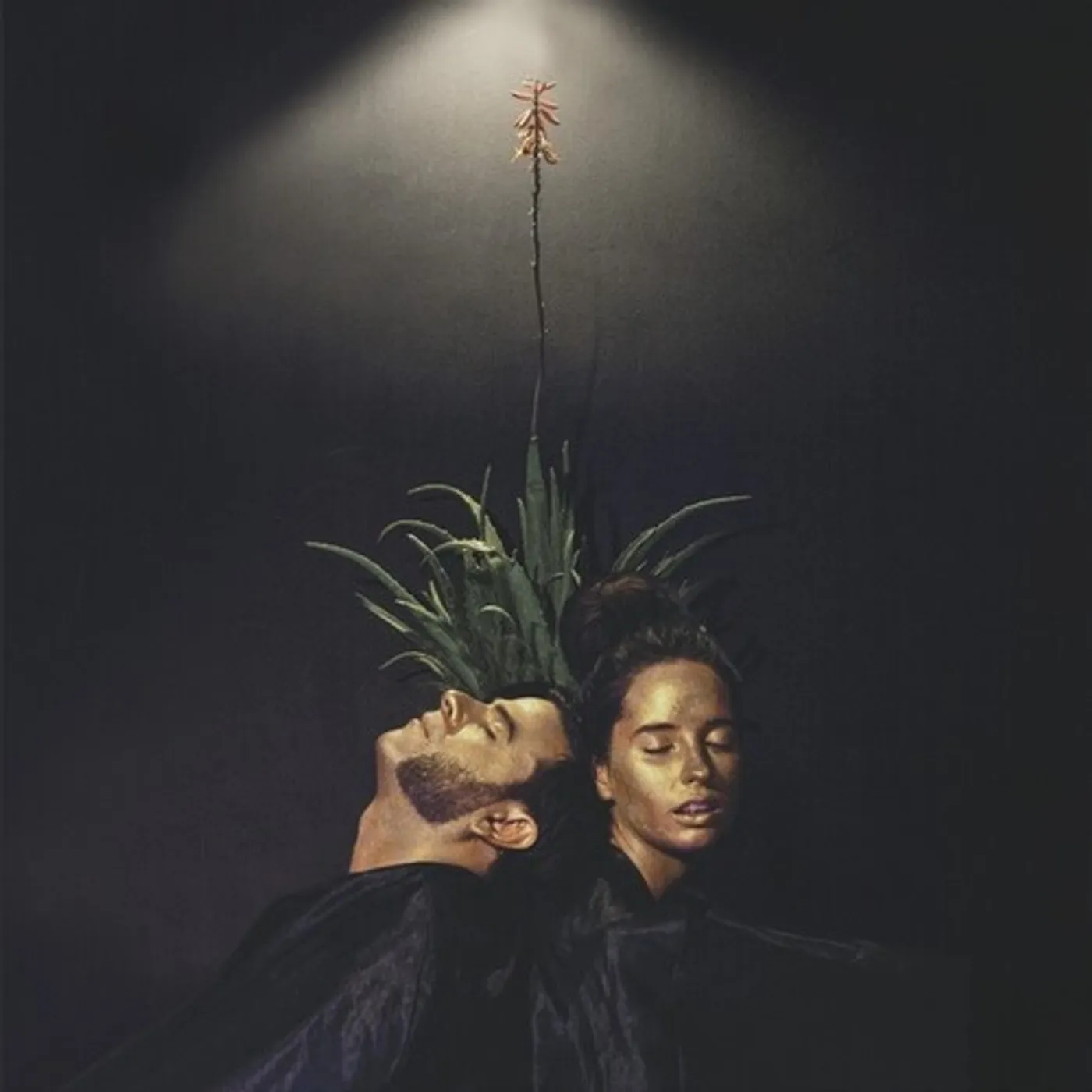 Dame Area Ondas Tribales Vinyl Record