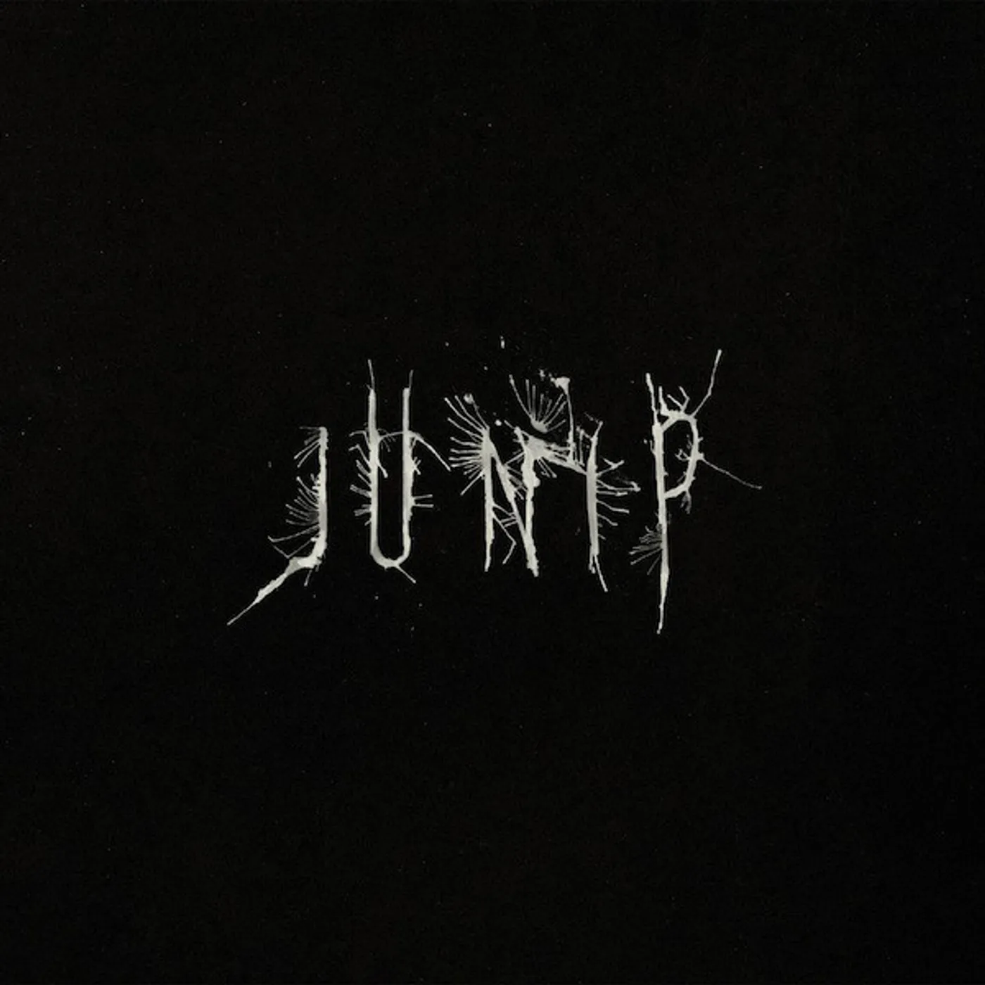 Junip Vinyl Record