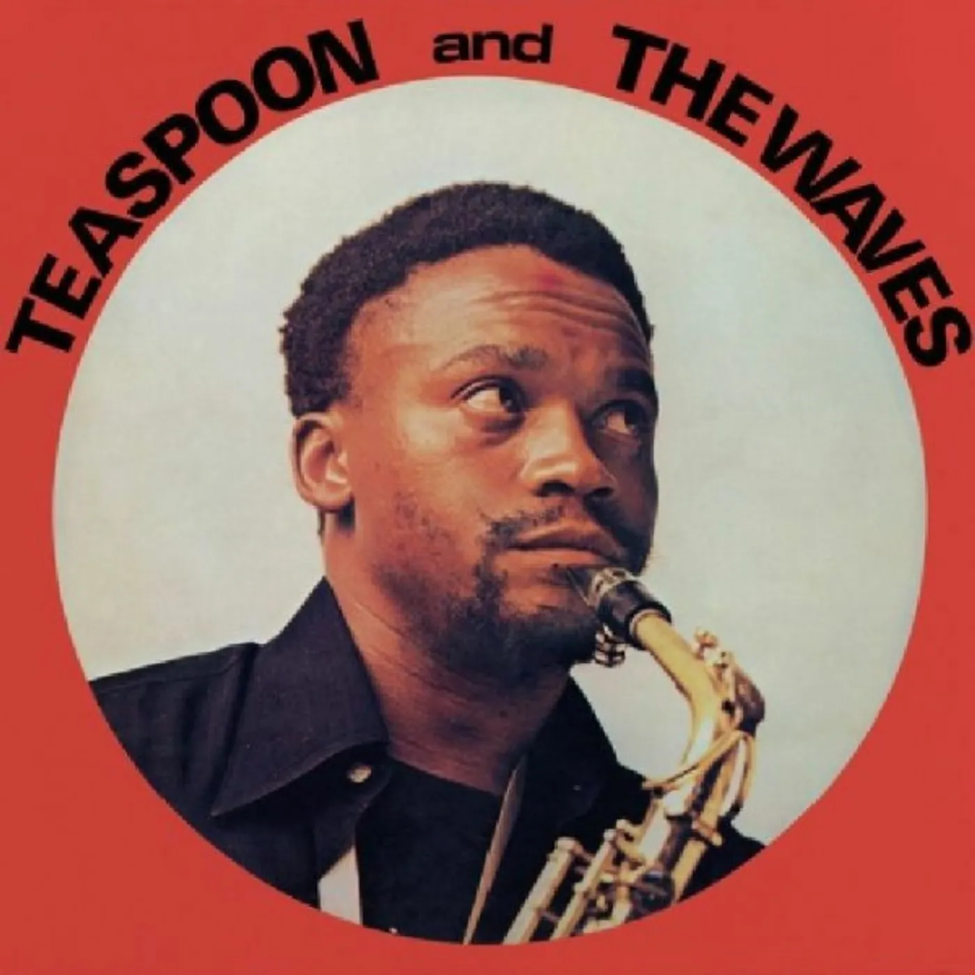 TEASPOON & THE WAVES Vinyl Record