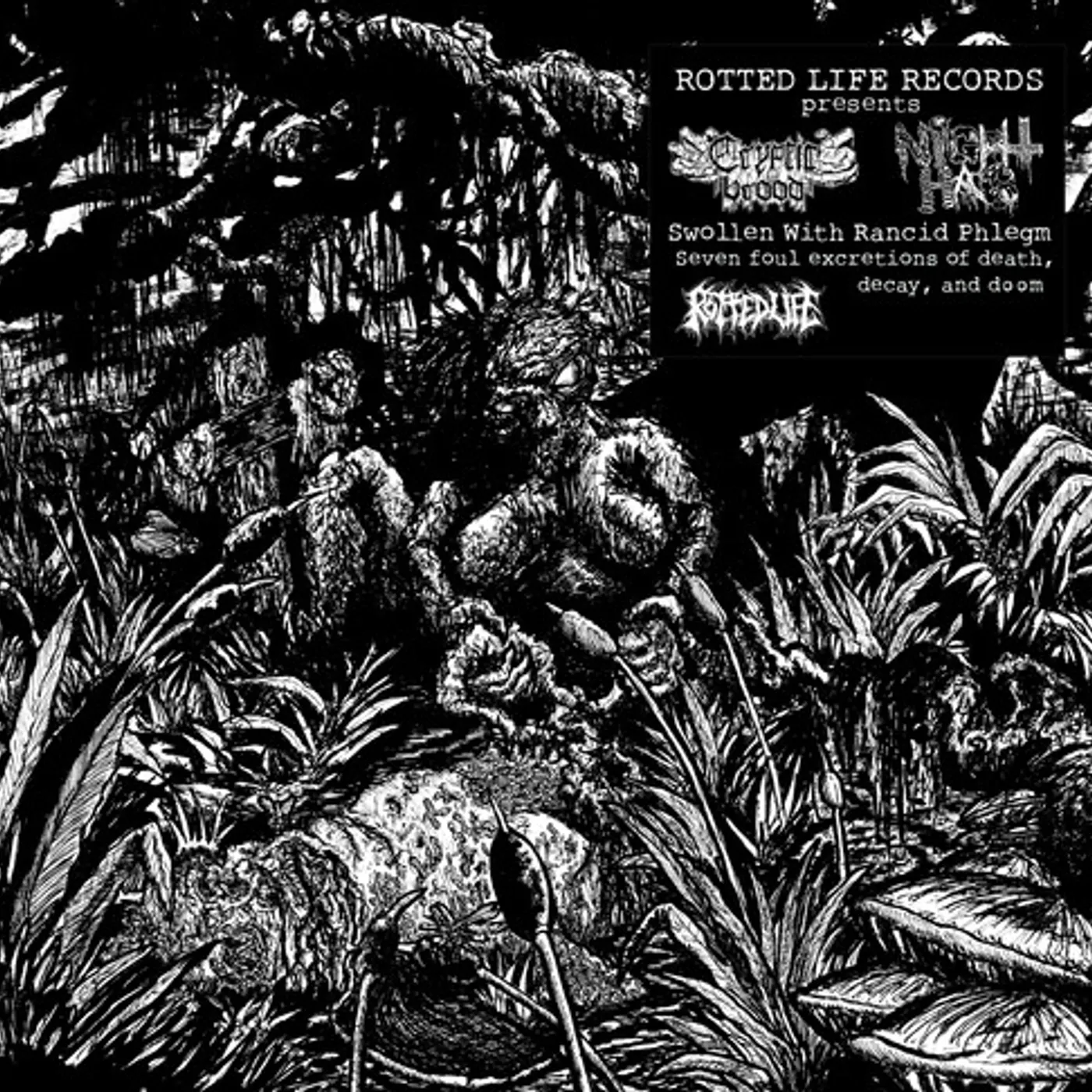 Cryptic Brood & Night Hag Swollen With Rancid Phlegm Vinyl Record