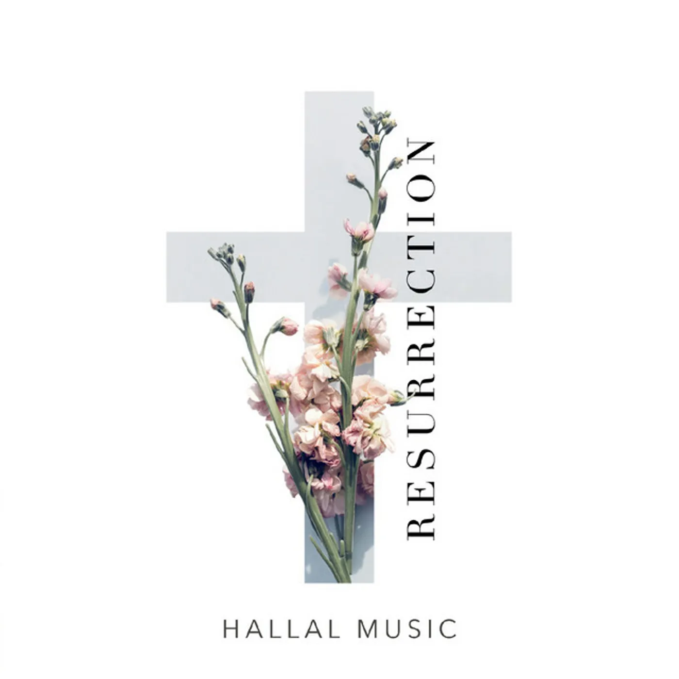Hallal Music RESURRECTION CD