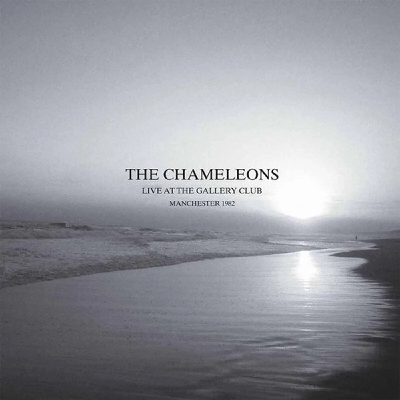 The Chameleons LIVE AT THE GALLERY CLUB Vinyl Record