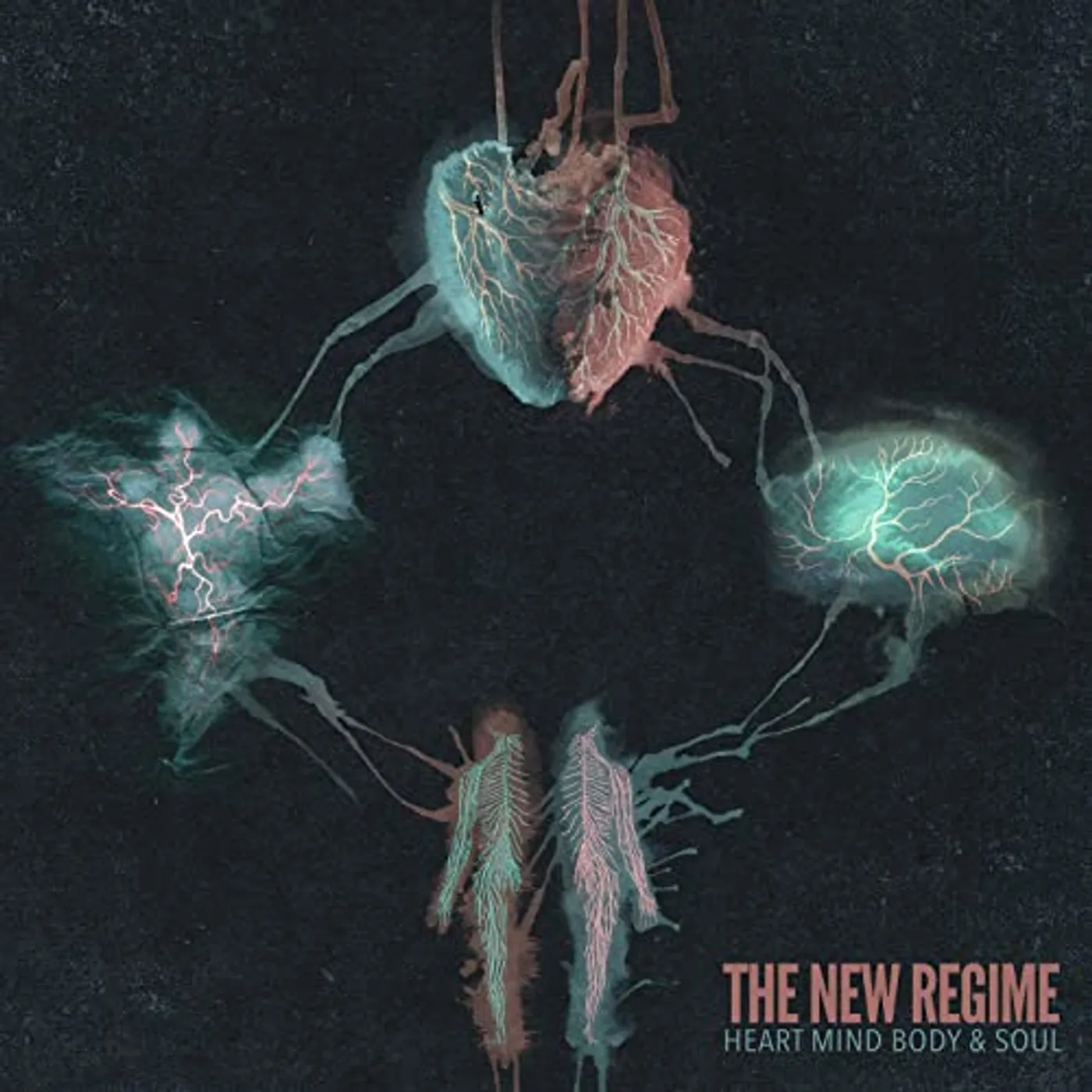 The New Regime Heart Mind Body & Soul Vinyl Record