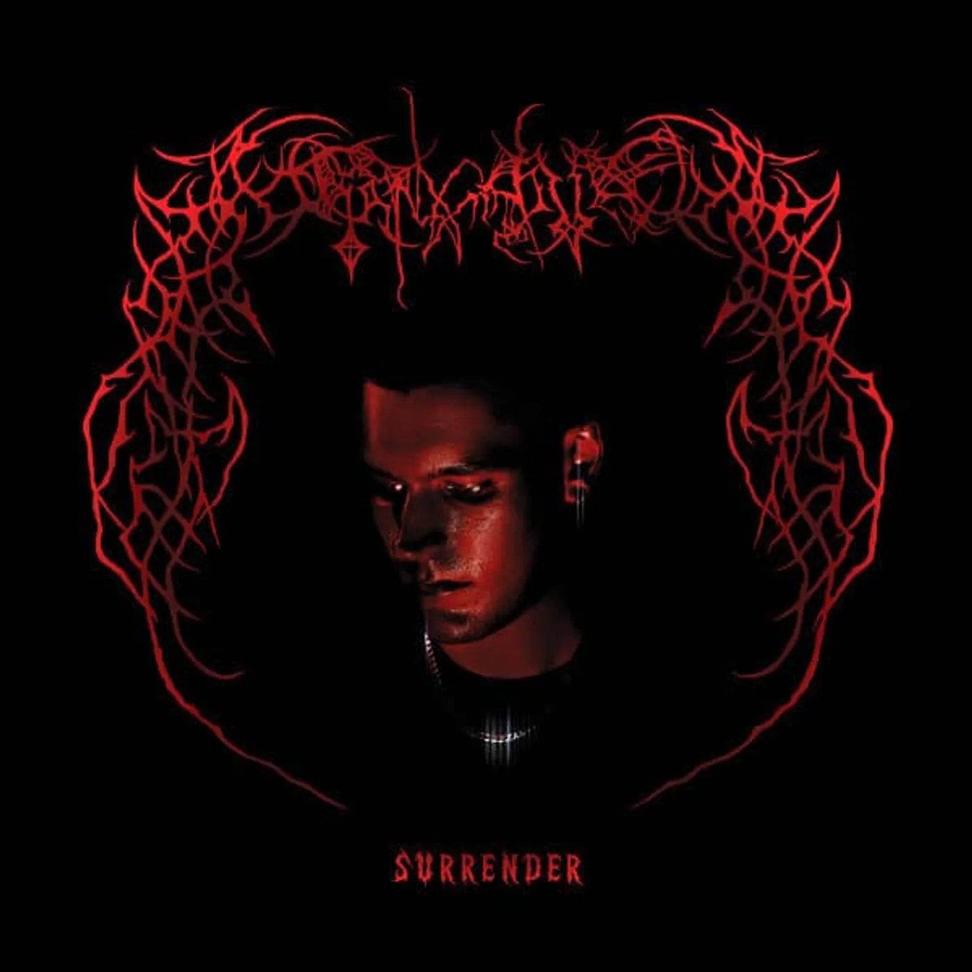 Endgame Surrender Vinyl Record