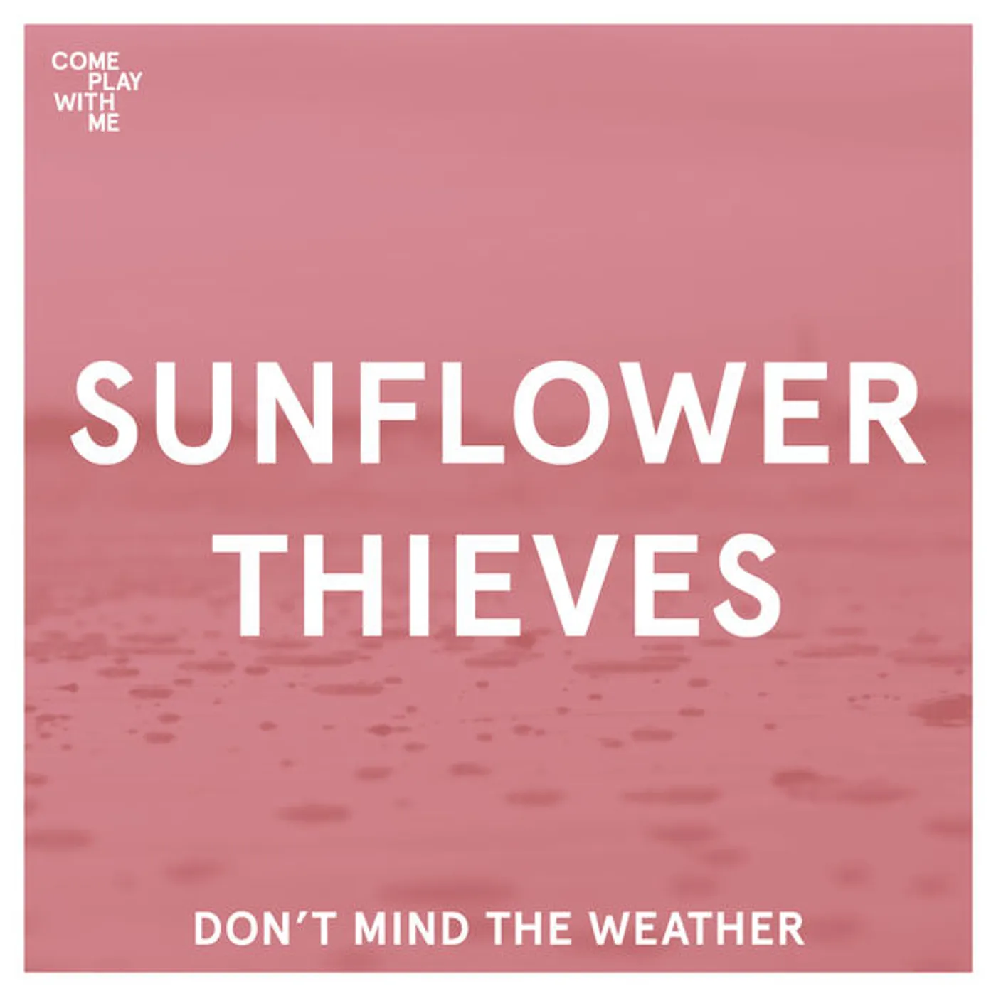 Sunflower Thieves / Lenu DON'T MIND THE WEATHER / VULNERABLE Vinyl Record