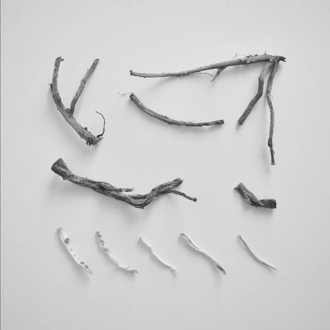 Richard Skelton These Charms May Be Sung Over A Wound Vinyl Record