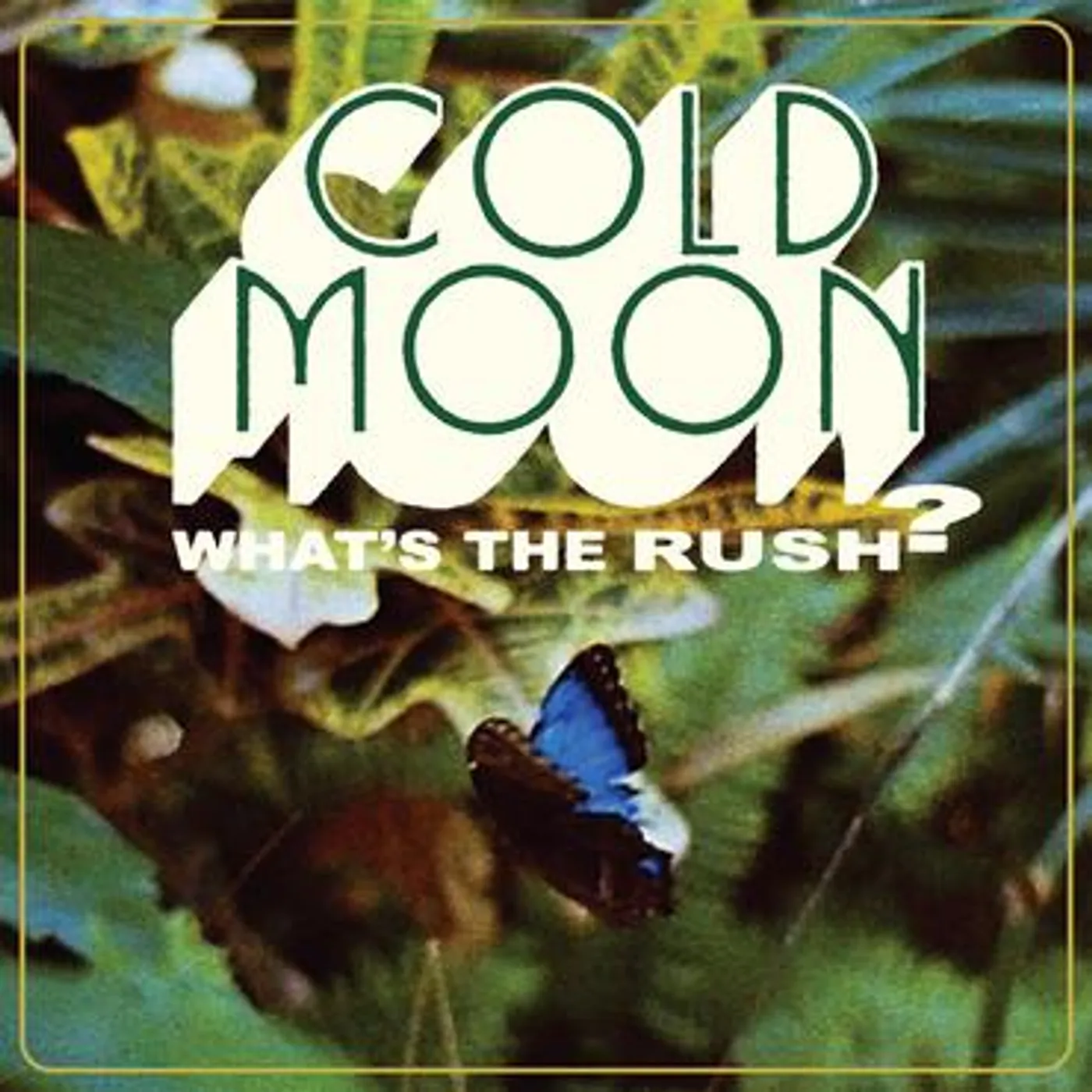 Cold Moon What's the Rush Vinyl Record