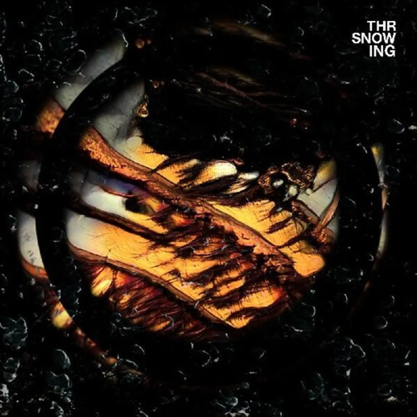 Throwing Snow Dragons Vinyl Record