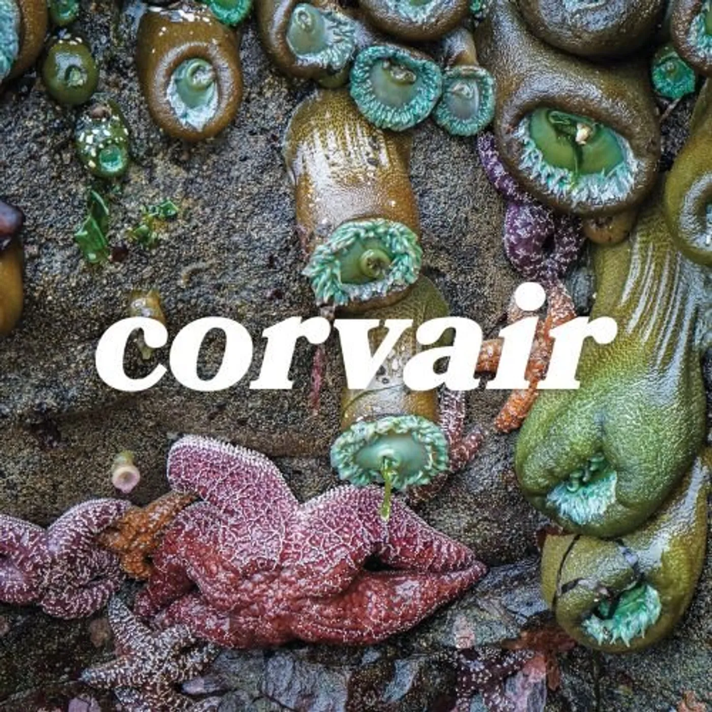 Corvair Vinyl Record