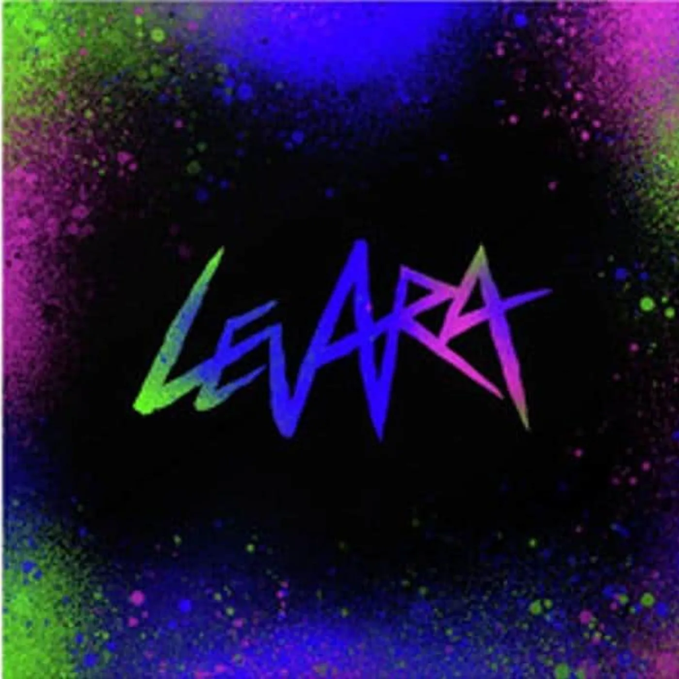 Levara Vinyl Record