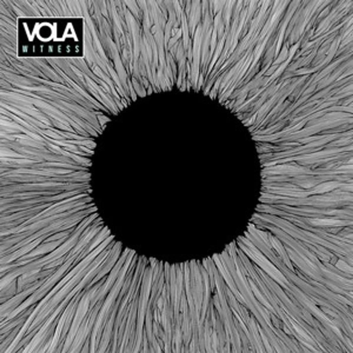VOLA Witness Vinyl Record