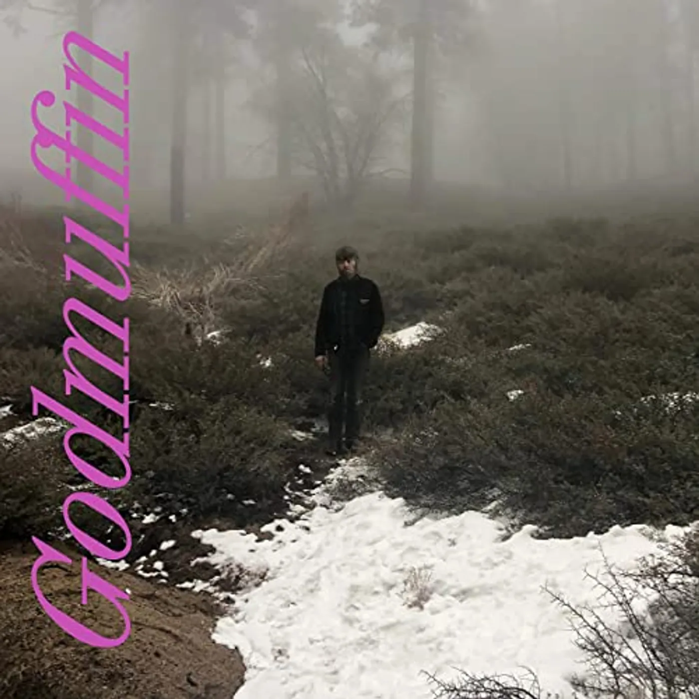 Mike Viola Godmuffin Vinyl Record