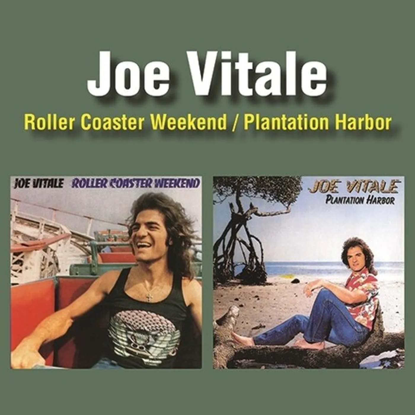 Joe Vitale ROLLER COASTER WEEKEND / PLANTATION HARBOR (2-FER) CD