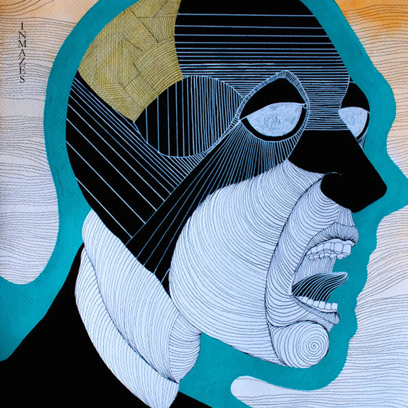 VOLA INMAZES Vinyl Record
