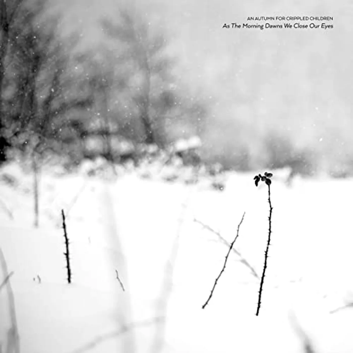 An Autumn for Crippled Children As the Morning Dawns We Close Our Eyes Vinyl Record