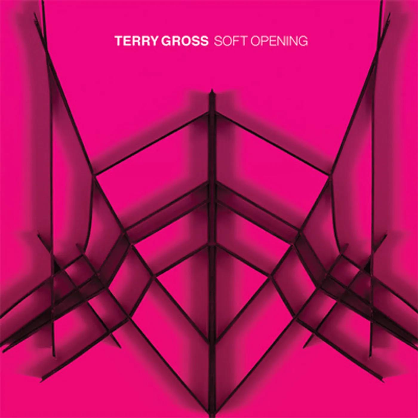 Terry Gross Soft Opening Vinyl Record