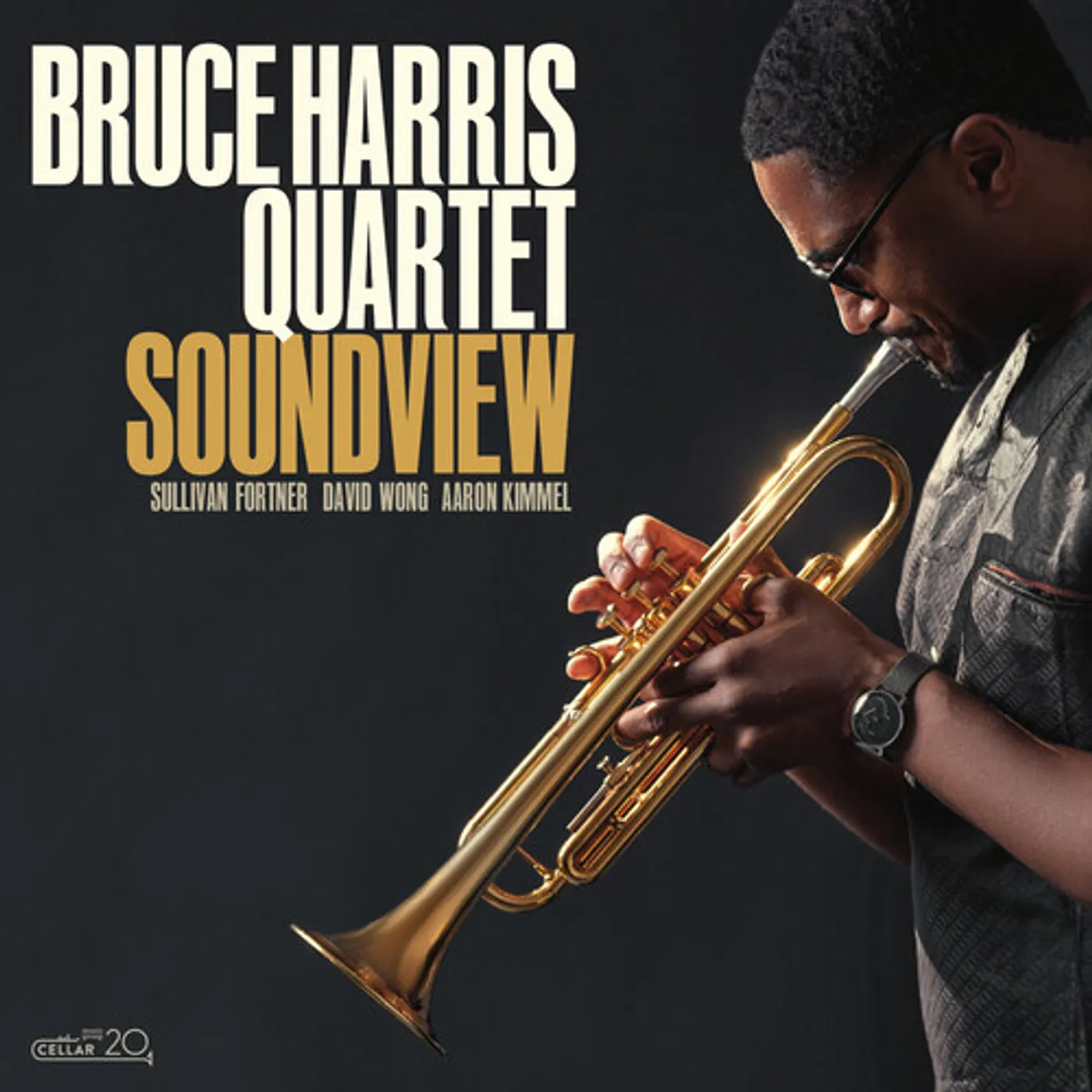 Bruce Harris SOUNDVIEW CD